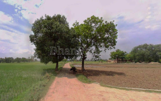 property_images/agricultural_in_alwar_1778750556_6a05945ca01b0.png