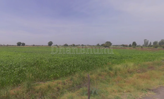 property_images/agricultural_in_alwar_1778750850_6a059582765d5.png