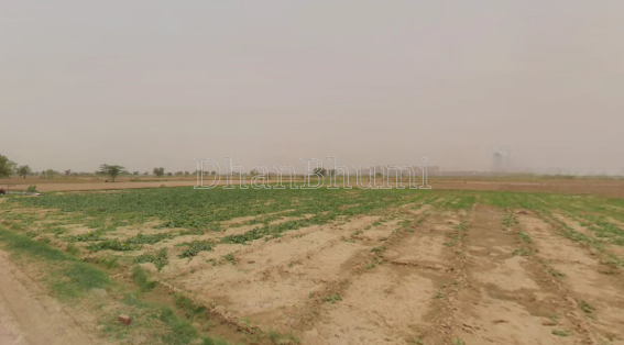 property_images/agricultural_in_alwar_1778751079_6a059667cb03a.png