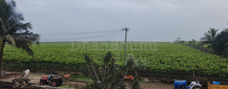 property_images/agricultural_in_belagavi_1779107317_6a0b05f51d7d4.png