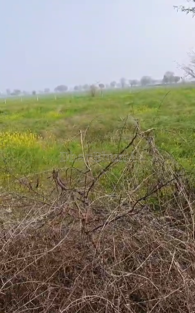 property_images/agricultural_in_bharatpur_1777706403_69f5a5a3d352c.png
