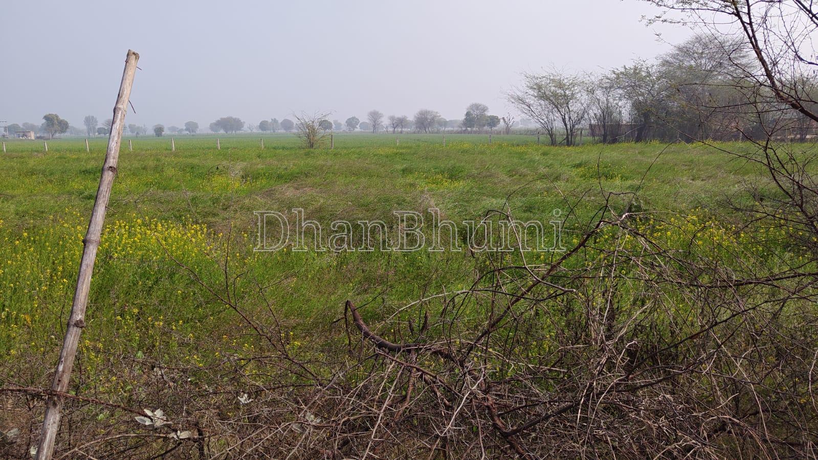 property_images/agricultural_in_bharatpur_1777706404_69f5a5a411ad2.jpeg