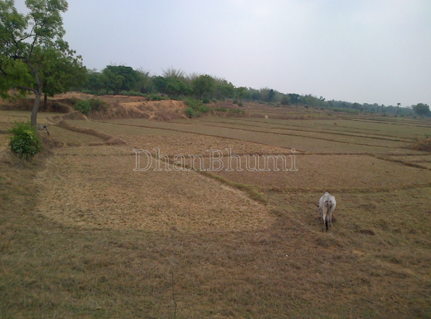 property_images/agricultural_in_bokaro_1778149838_69fc69ce73147.PNG