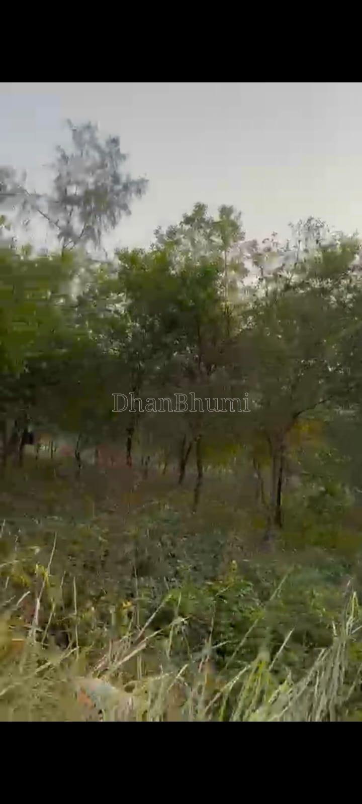 property_images/agricultural_in_bulandshahr_1778134410_69fc2d8a4159d.jpeg
