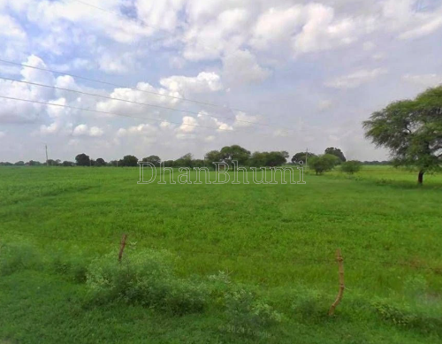 property_images/agricultural_in_chhatarpur_1778739411_6a0568d3bb339.png