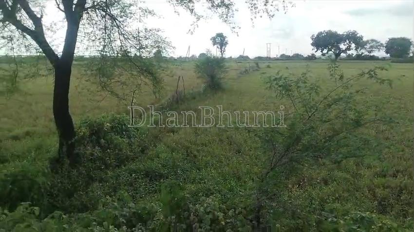 property_images/agricultural_in_chhatarpur_1778739844_6a056a84870ff.jpeg