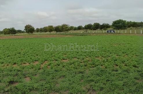 property_images/agricultural_in_chhatarpur_1778836987_6a06e5fb867b1.jpg