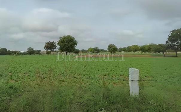 property_images/agricultural_in_chhatarpur_1778837113_6a06e679c3345.jpg