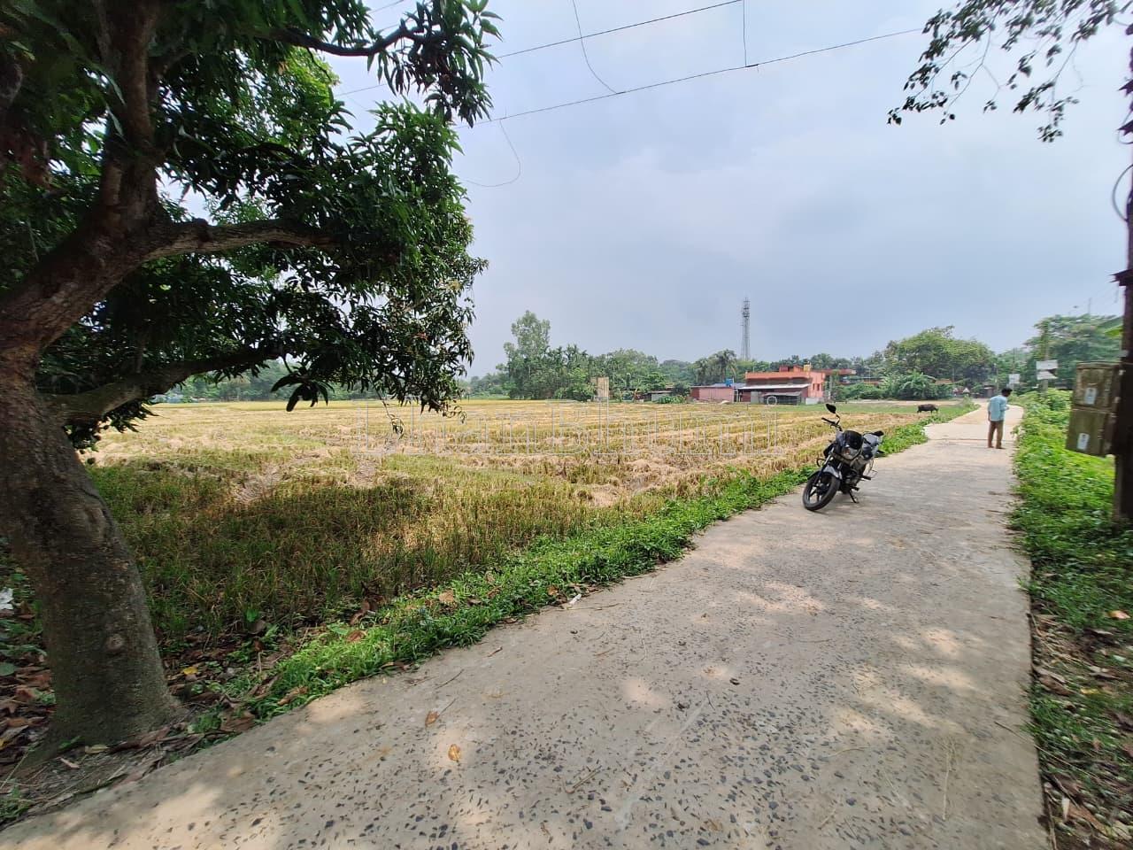 property_images/agricultural_in_dakshin_dinajpur_1778576360_6a02ebe8d7b05.jpeg