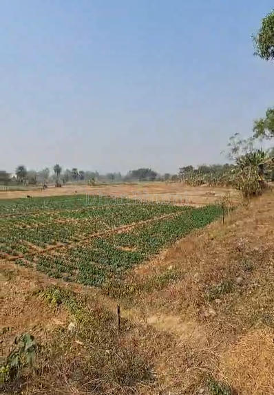 property_images/agricultural_in_dakshin_dinajpur_1778576961_6a02ee41b7436.png