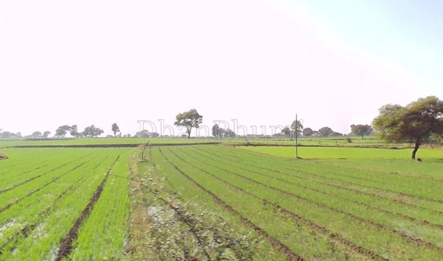 property_images/agricultural_in_datia_1777878494_69f845de82d79.PNG