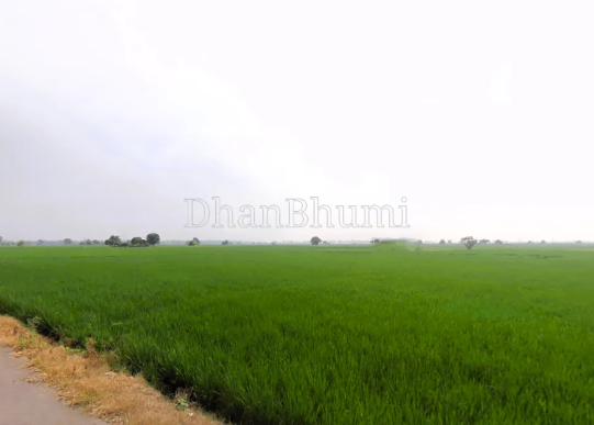 property_images/agricultural_in_dehradun_1777713936_69f5c3100970e.png