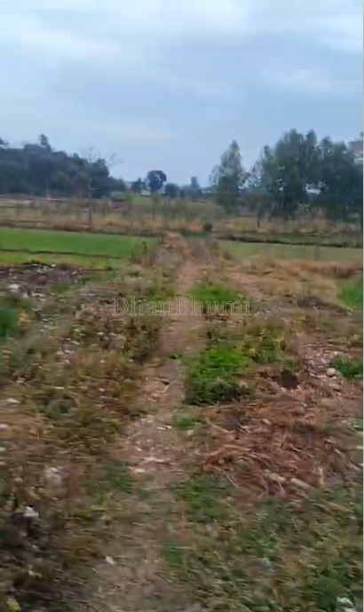 property_images/agricultural_in_dehradun_1777714191_69f5c40f40ea8.png