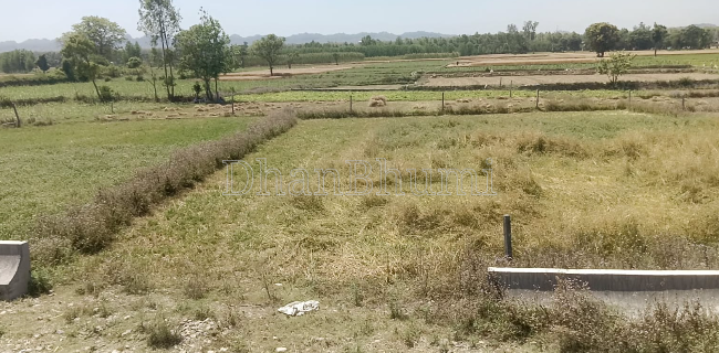 property_images/agricultural_in_dehradun_1778059009_69fb07015bc40.PNG