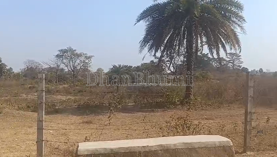 property_images/agricultural_in_deoghar_1777454150_69f1cc46bc68b.png