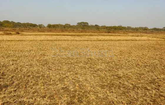 property_images/agricultural_in_dhanbad_1777453272_69f1c8d85ea79.png