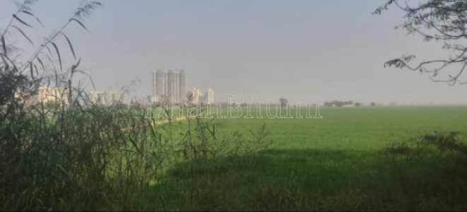 property_images/agricultural_in_gautam_buddha_nagar_1777544378_69f32cba86340.png