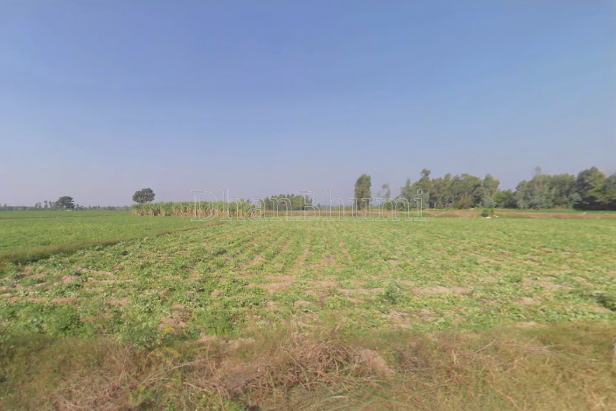 property_images/agricultural_in_jabalpur_1777637390_69f4980e2e288.png