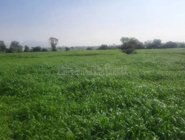 property_images/agricultural_in_jaipur_1779173213_6a0c075ddb2dc.PNG