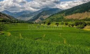 featured_img