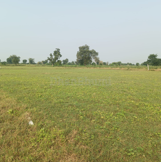 property_images/agricultural_in_mathura_1778131995_69fc241b75239.PNG
