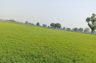 property_images/agricultural_in_meerut_1778500633_6a01c4199f383.png