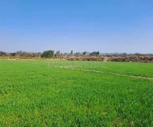 featured_img