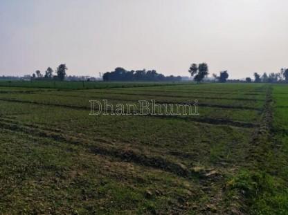 featured_img