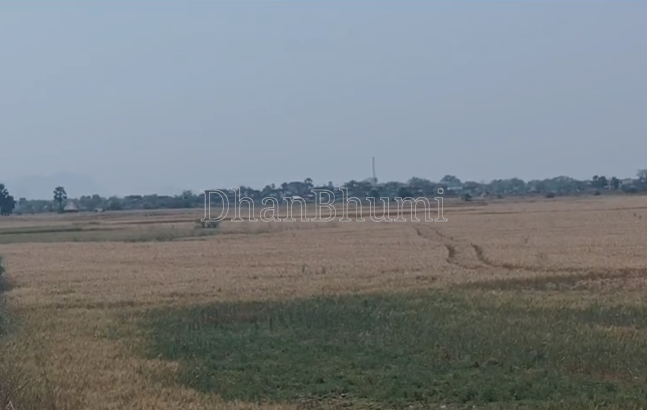property_images/agricultural_in_nalanda_1777620958_69f457ded5a9a.png