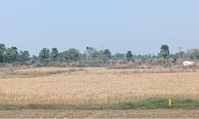 property_images/agricultural_in_nalanda_1777620958_69f457deedb9c.png