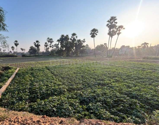 property_images/agricultural_in_patna_1777528951_69f2f077b434d.png