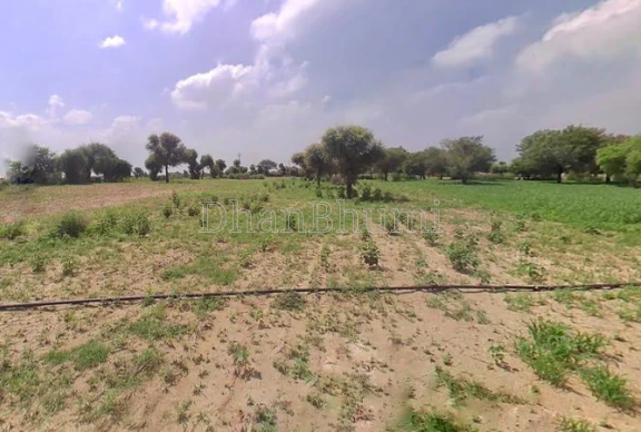 property_images/agricultural_in_puri_1778493229_6a01a72d8dc84.png