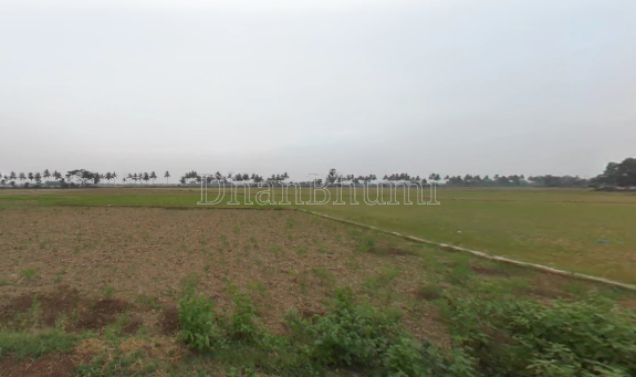 property_images/agricultural_in_puri_1778493636_6a01a8c44f930.png