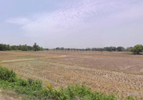 property_images/agricultural_in_puri_1778494362_6a01ab9a767e1.png