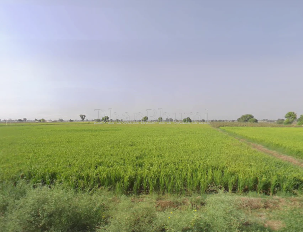 property_images/agricultural_in_sehore_1778666608_6a044c70d6911.png
