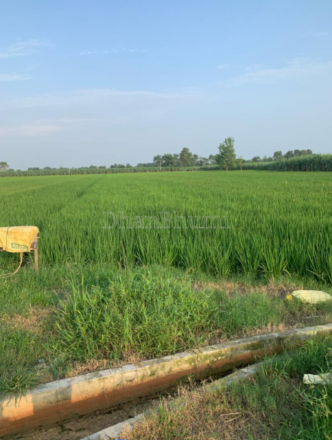property_images/agricultural_in_sitapur_1778138620_69fc3dfcb18e2.PNG