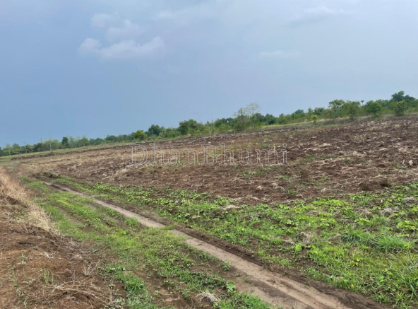 property_images/agricultural_in_surat_1777977978_69f9ca7a8cb29.PNG