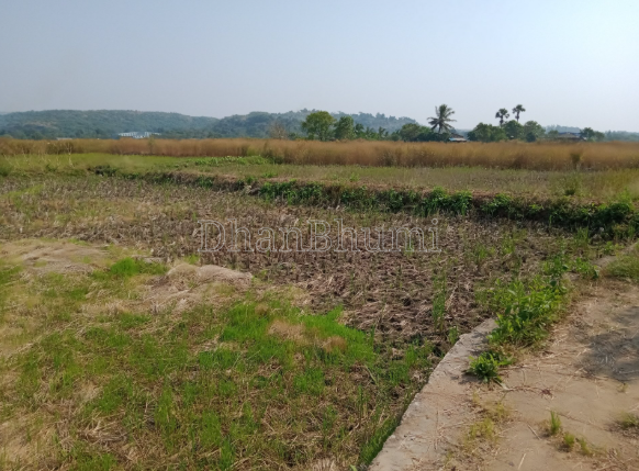 property_images/agricultural_in_surat_1777978585_69f9ccd921948.PNG
