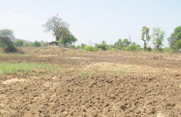property_images/agricultural_in_surat_1777978898_69f9ce12652e5.PNG