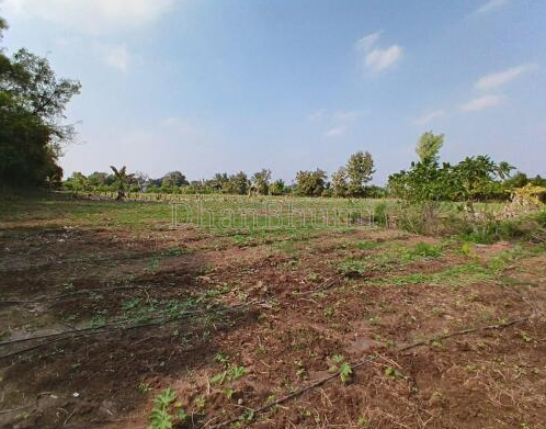 property_images/agricultural_in_surat_1777979136_69f9cf00d7a3e.PNG