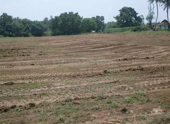 property_images/agricultural_in_surat_1777979646_69f9d0fecbdd7.PNG