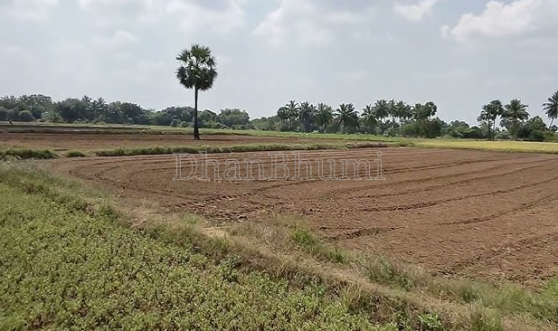 property_images/agricultural_in_surat_1777979927_69f9d21759499.PNG