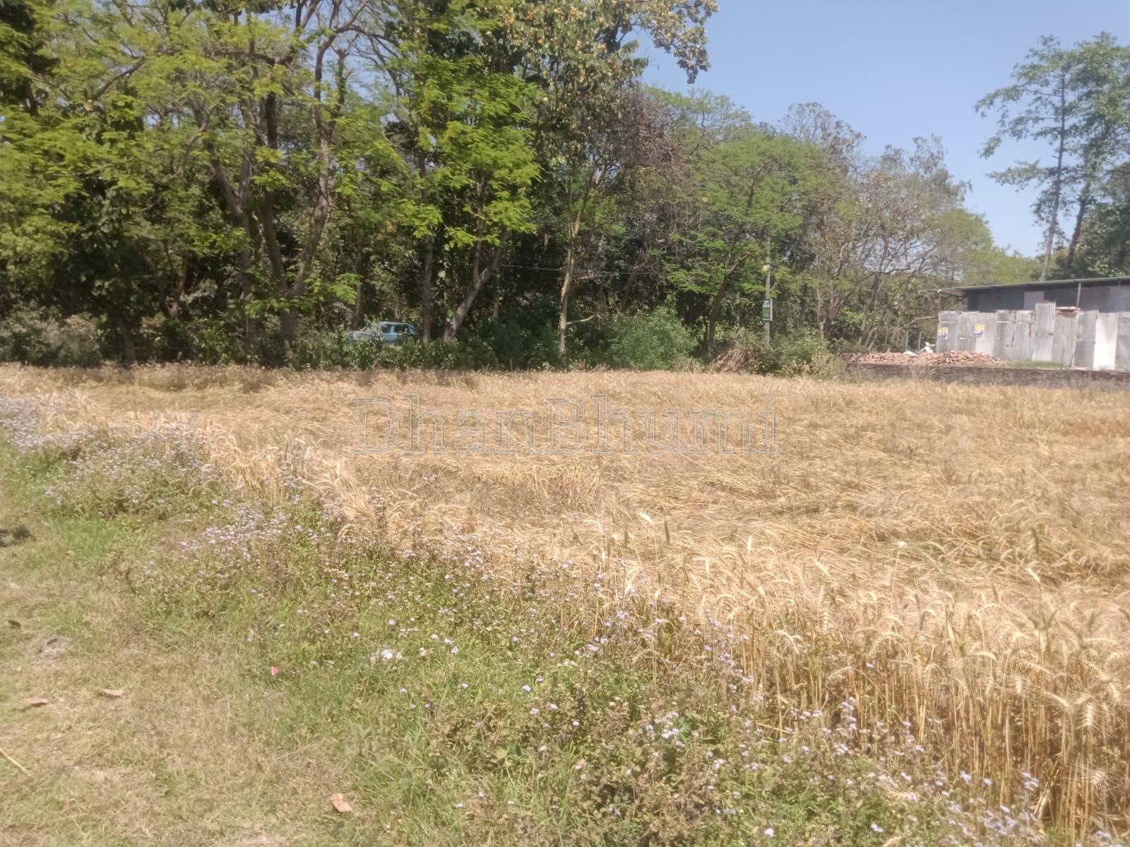 property_images/commercial_in_dehradun_1778663111_6a043ec758072.jpeg