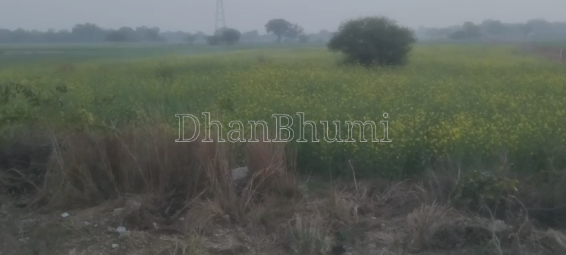 featured_img
