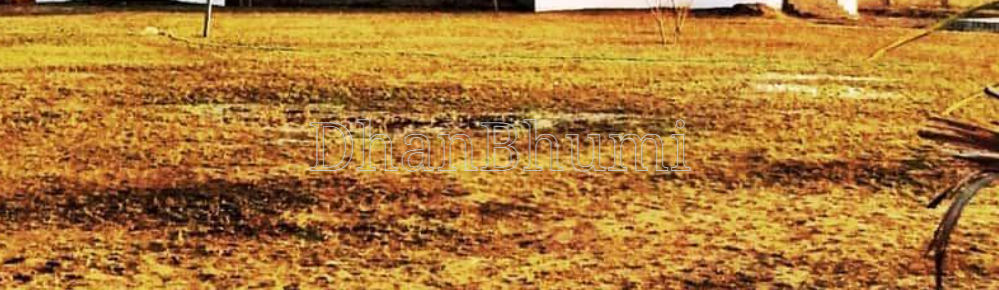 property_images/plot_in_ahmedabad_1778227133_69fd97bd33592.png