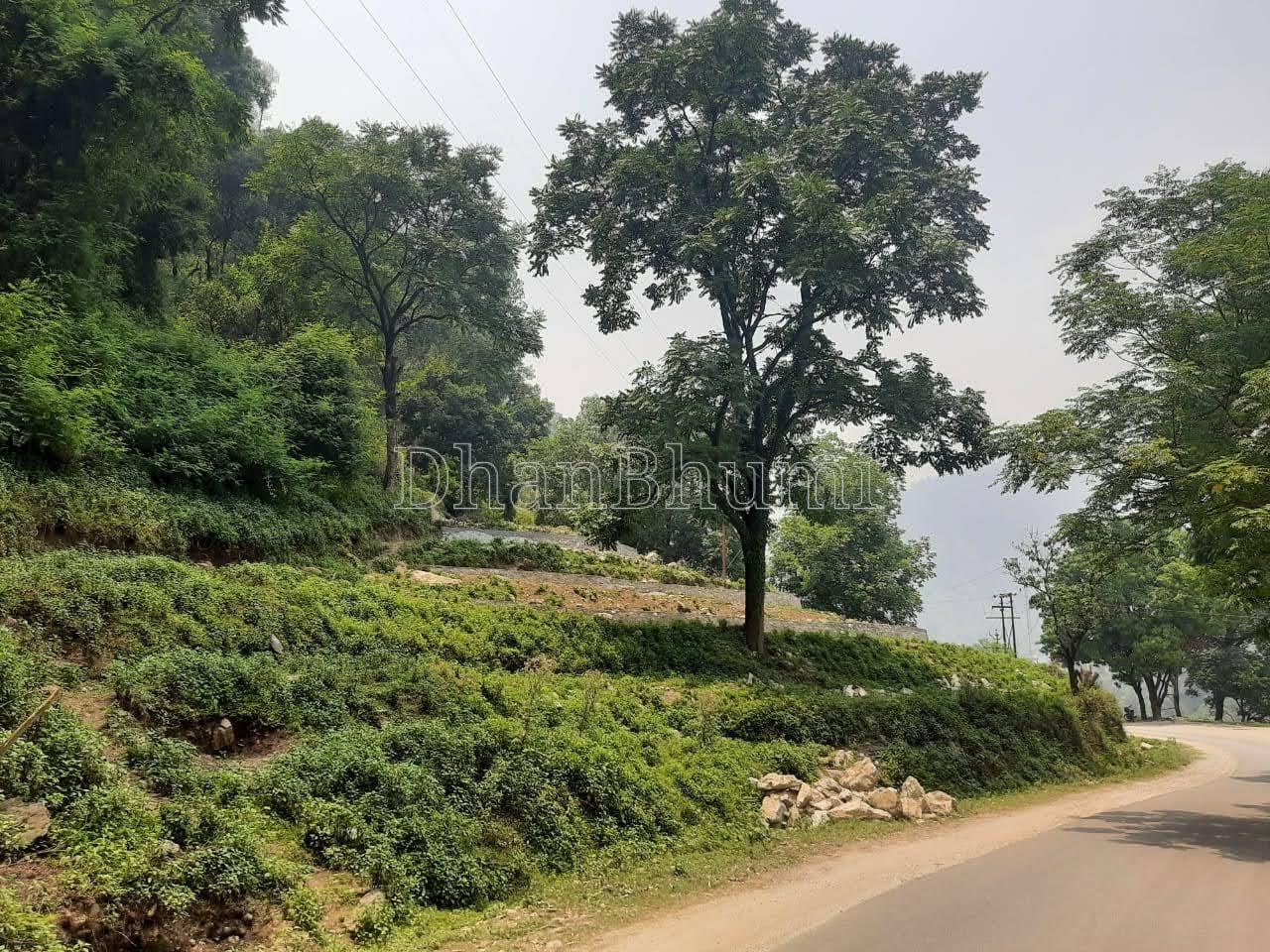 property_images/plot_in_bageshwar_1777629054_69f4777e8d414.jpeg