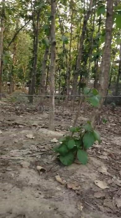property_images/plot_in_barabanki_1779357568_6a0ed780a68e5.jpg