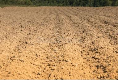 property_images/plot_in_budaun_1779708713_6a1433299b057.png