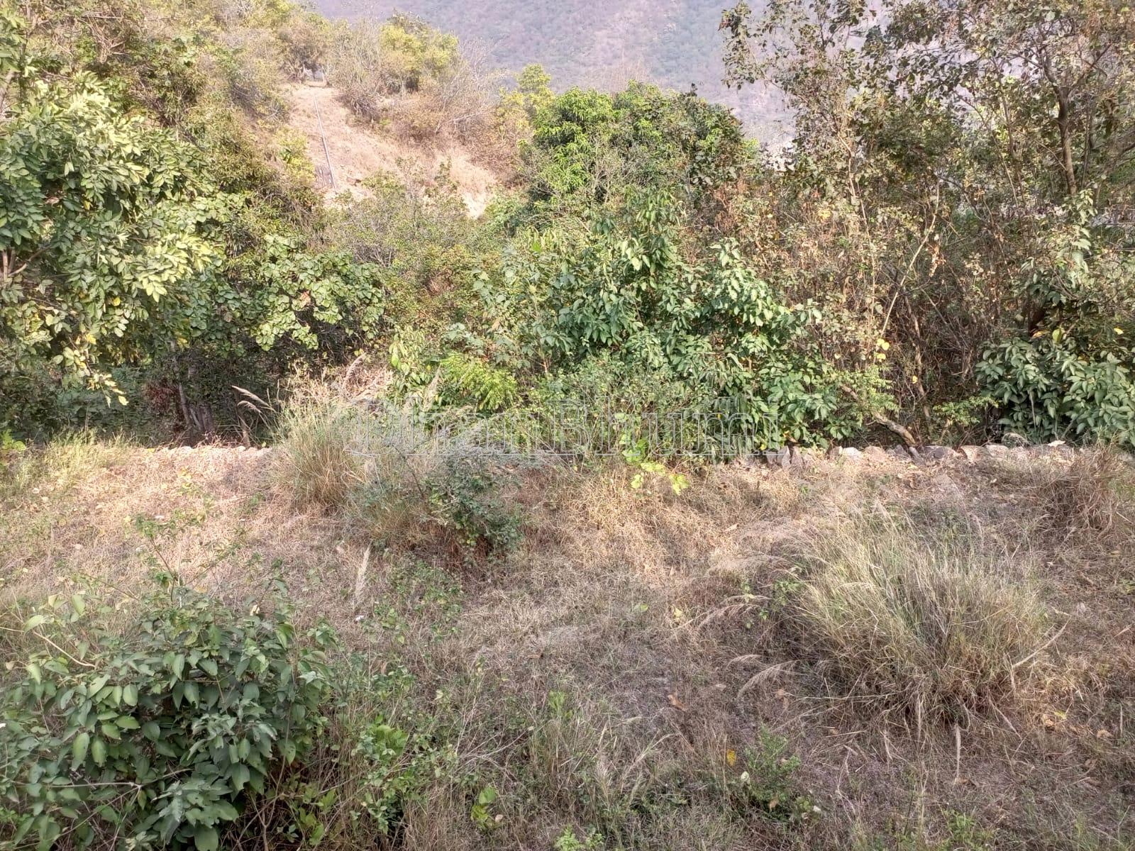 property_images/plot_in_dehradun_1778131701_69fc22f52b21d.jpeg