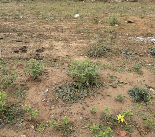 property_images/plot_in_faridabad_1778132913_69fc27b1a9759.png